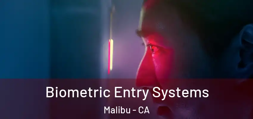 Biometric Entry Systems Malibu - CA