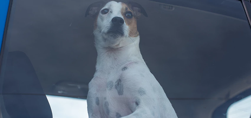 Car Lockout Solutions in Malibu, California