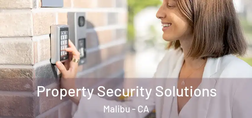  Property Security Solutions Malibu - CA
